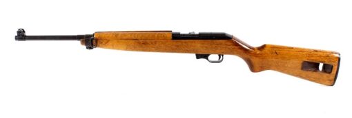 Iver Johnson 22 Rifle